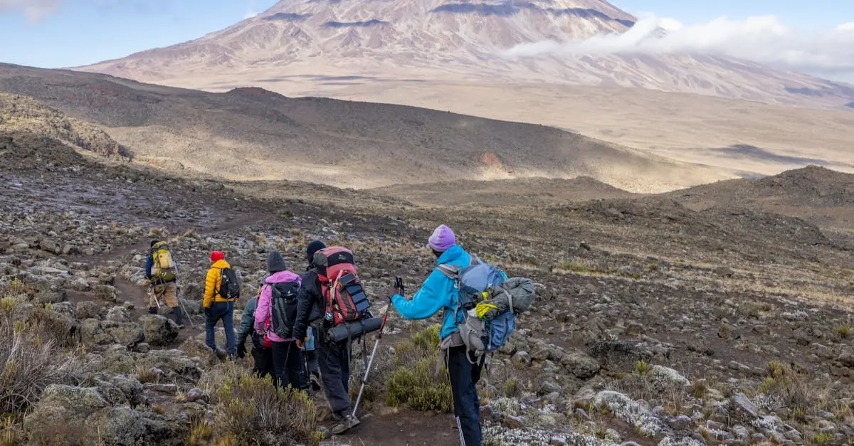 image_68214f91a8cc15.16066387-1 image_68214f91a8cc15.16066387-1